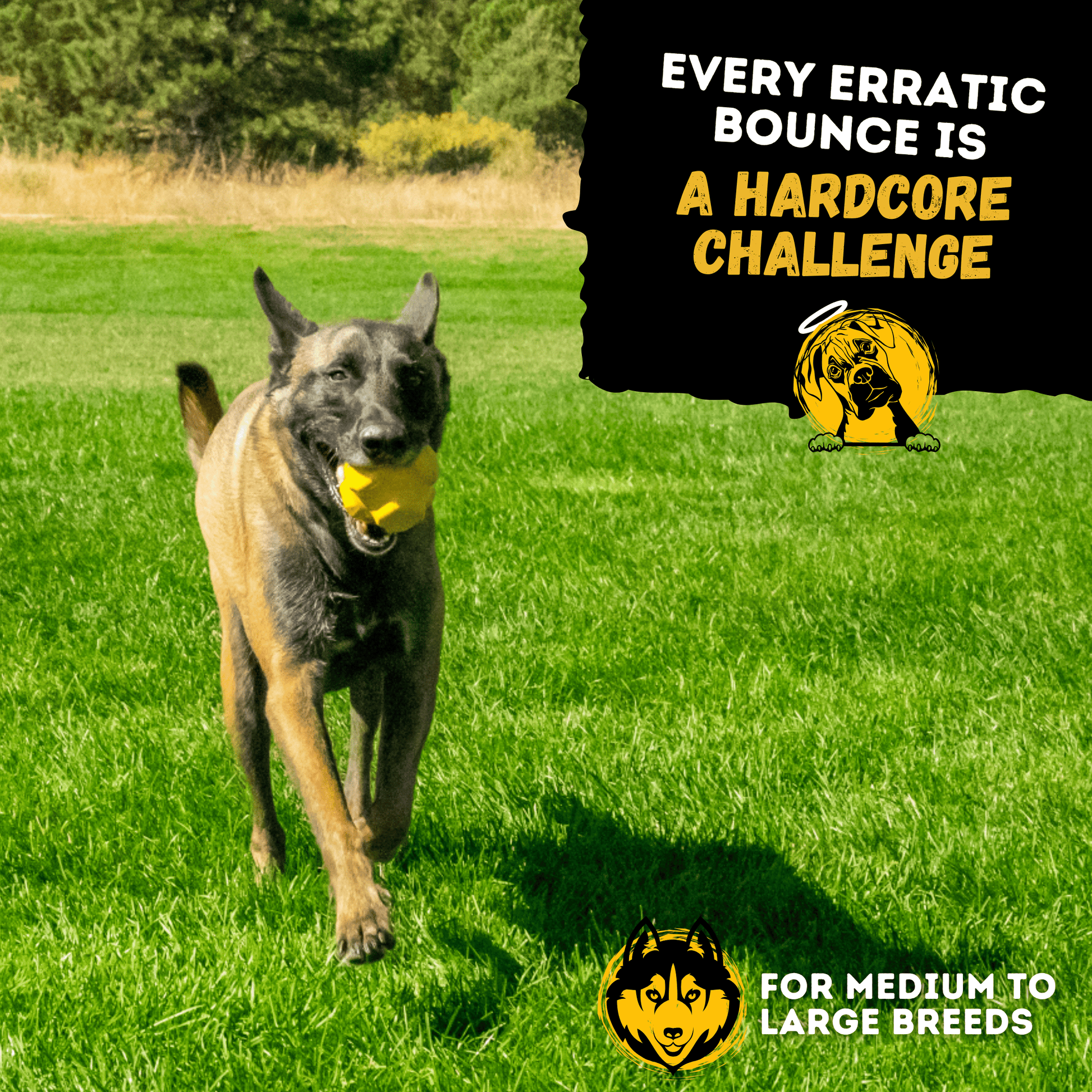 Juke Ball™ Monster K9 Dog Toys