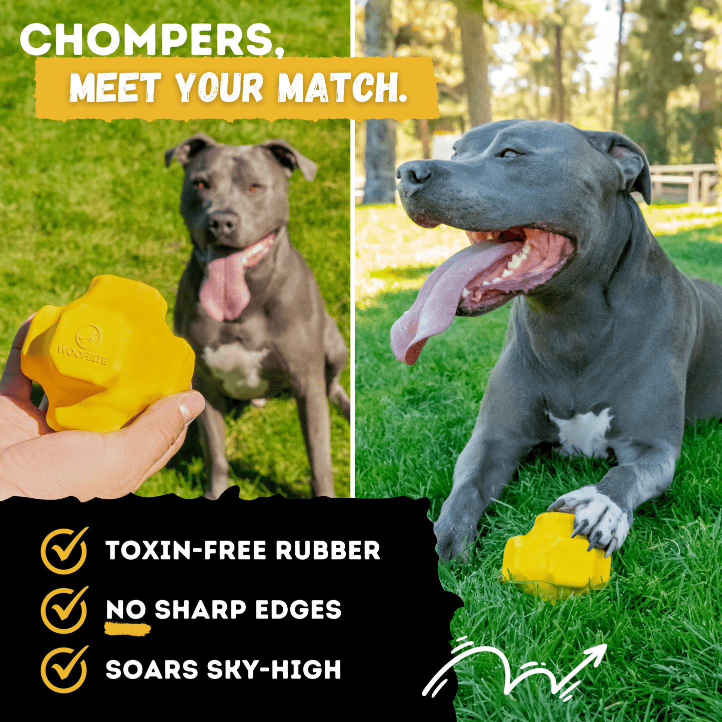 Juke Ball™ Monster K9 Dog Toys