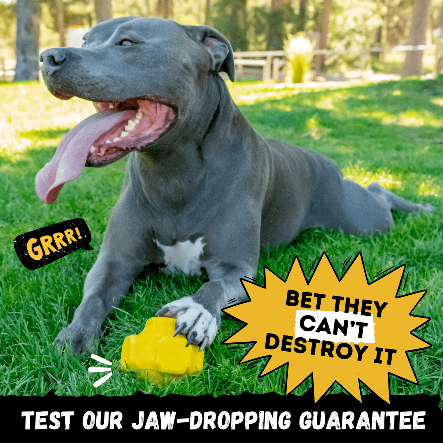 Juke Ball™ Monster K9 Dog Toys