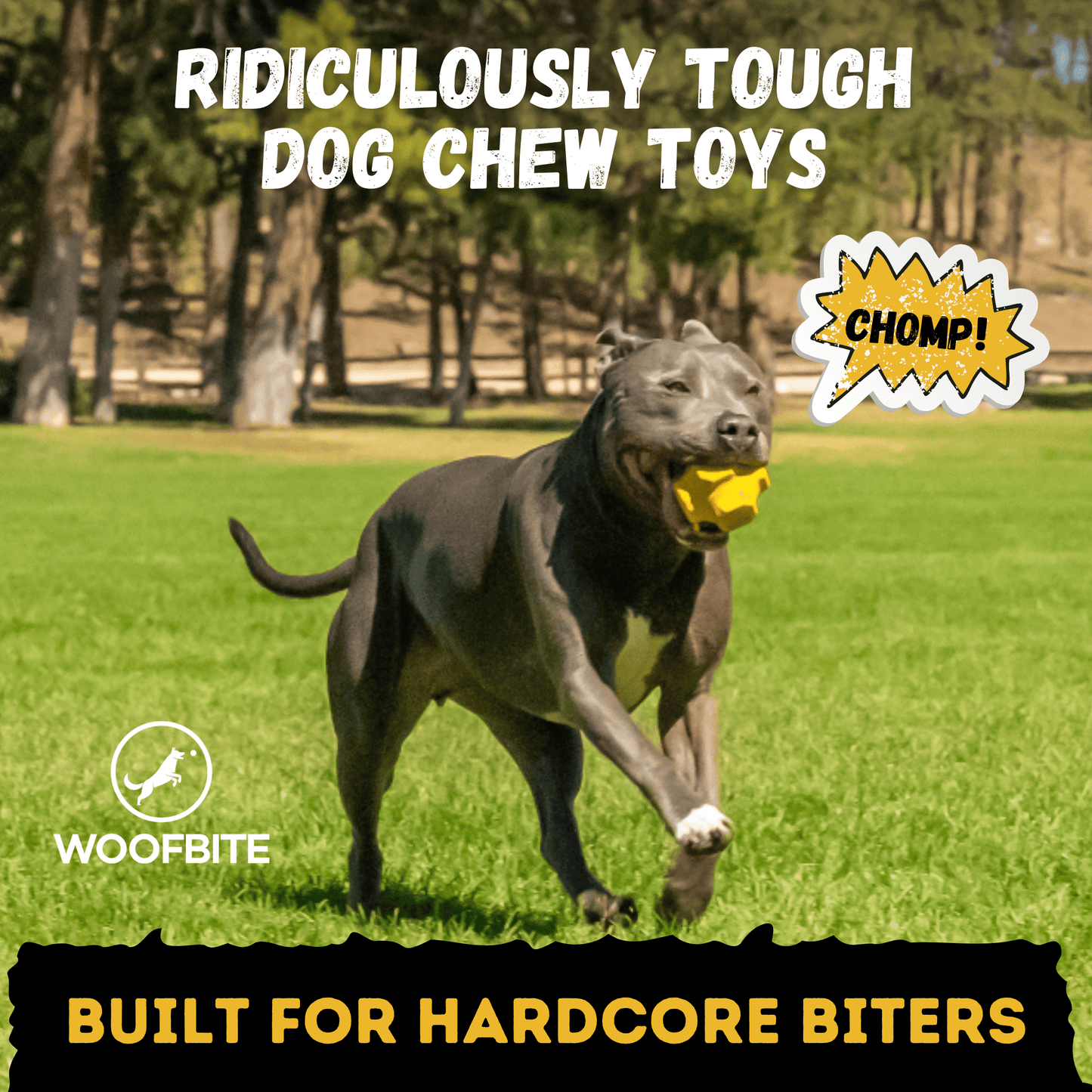 Juke Ball™ Monster K9 Dog Toys
