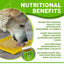 Dogtastic Peanut Butter for Dogs with Flax Seed - Xylitol-Free | USA Made - 50% off TREATS SodaPup/True Dogs, LLC