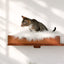 The Cat Nest Bed Cat shelves/bed Catastrophic Creations