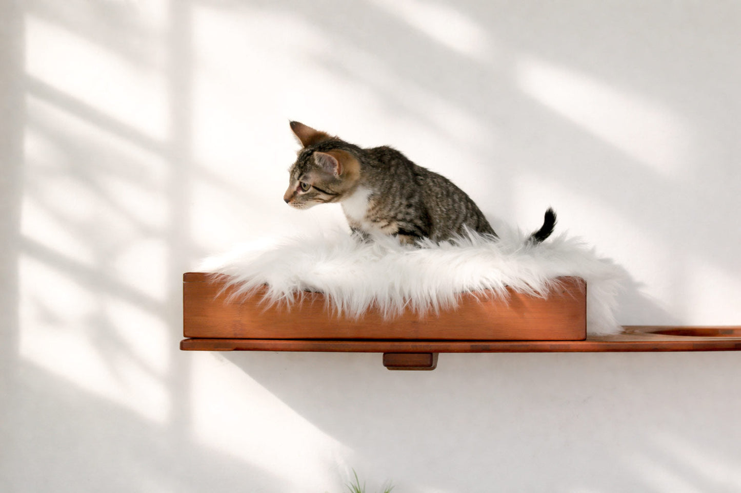 The Cat Nest Bed Cat shelves/bed Catastrophic Creations