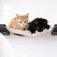 Hanging Cat Bed Hammock Onyx Bamboo Natural Canvas 18" Cat Hammock Catastrophic Creations
