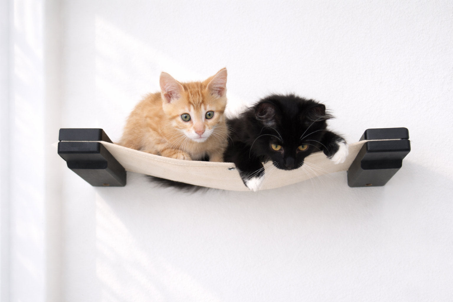 Hanging Cat Bed Hammock Onyx Bamboo Natural Canvas 18" Cat Hammock Catastrophic Creations