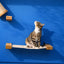 Hanging Cat Bed Hammock Cat Hammock Catastrophic Creations