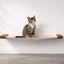 Hanging Cat Bed Hammock English Chestnut Bamboo Natural Canvas 26" Cat Hammock Catastrophic Creations