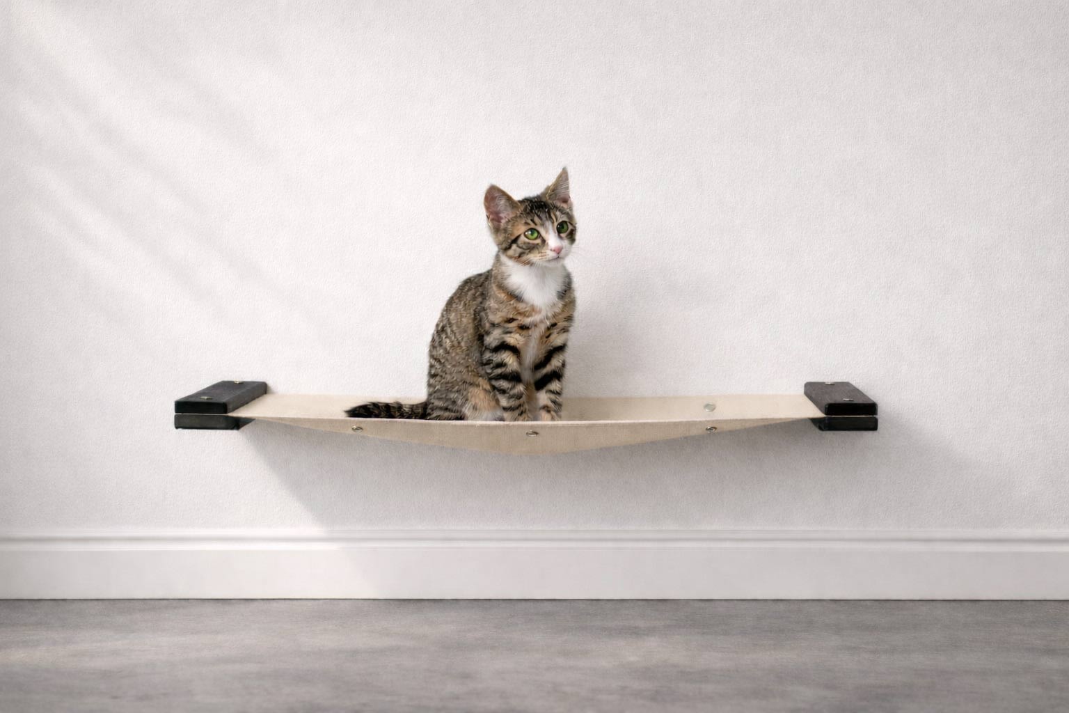 Hanging Cat Bed Hammock Onyx Bamboo Natural Canvas 26" Cat Hammock Catastrophic Creations