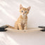Hanging Cat Bed Hammock Cat Hammock Catastrophic Creations