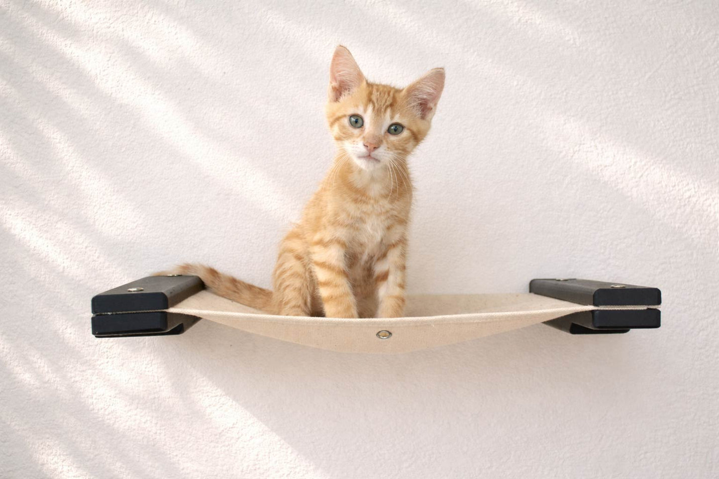 Hanging Cat Bed Hammock Cat Hammock Catastrophic Creations