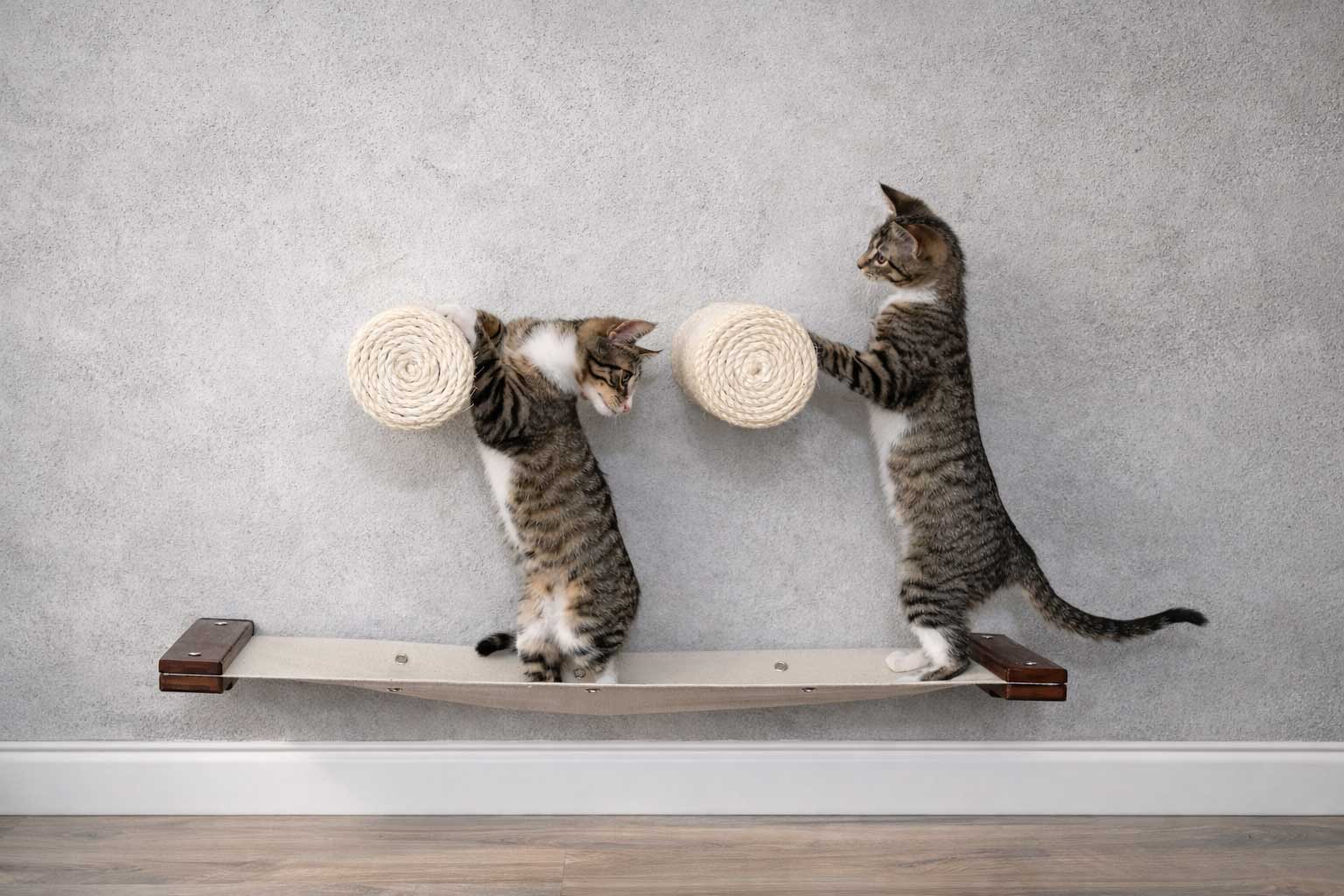 Floating Cat Step for Wall Cat Scratcher Catastrophic Creations