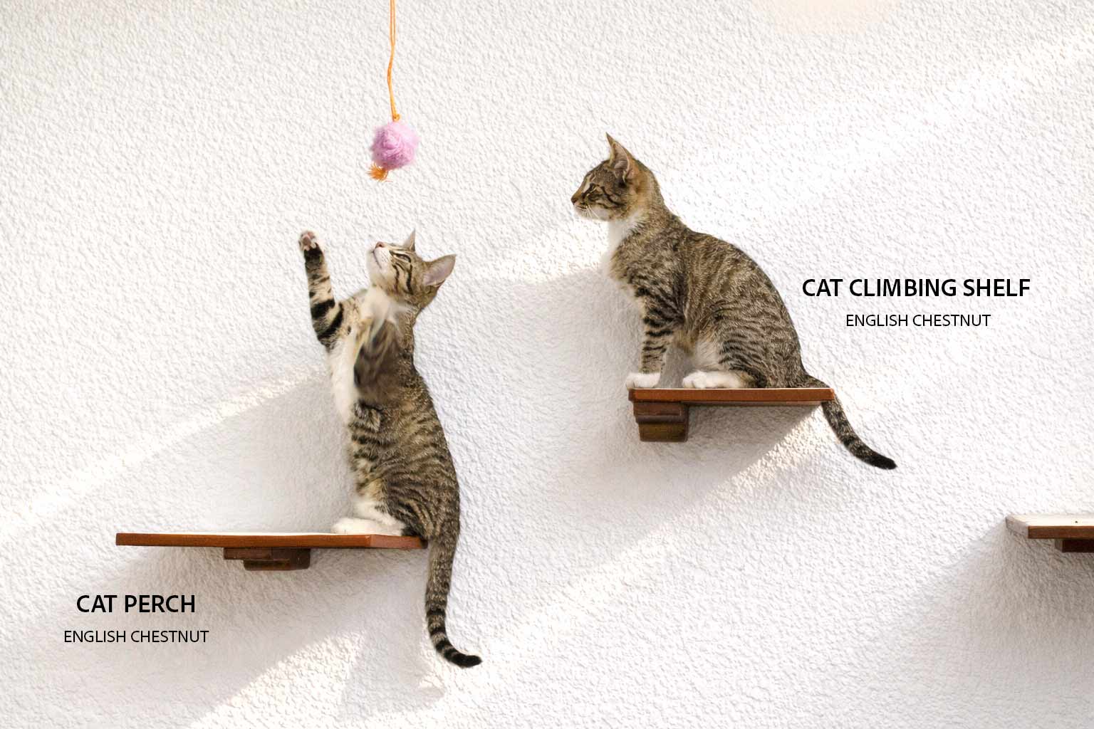 Cat Climbing Shelf Cat shelves/bed Catastrophic Creations
