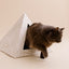 'Neutral Palm' Cardboard Cat Pyramid KittyKardboard