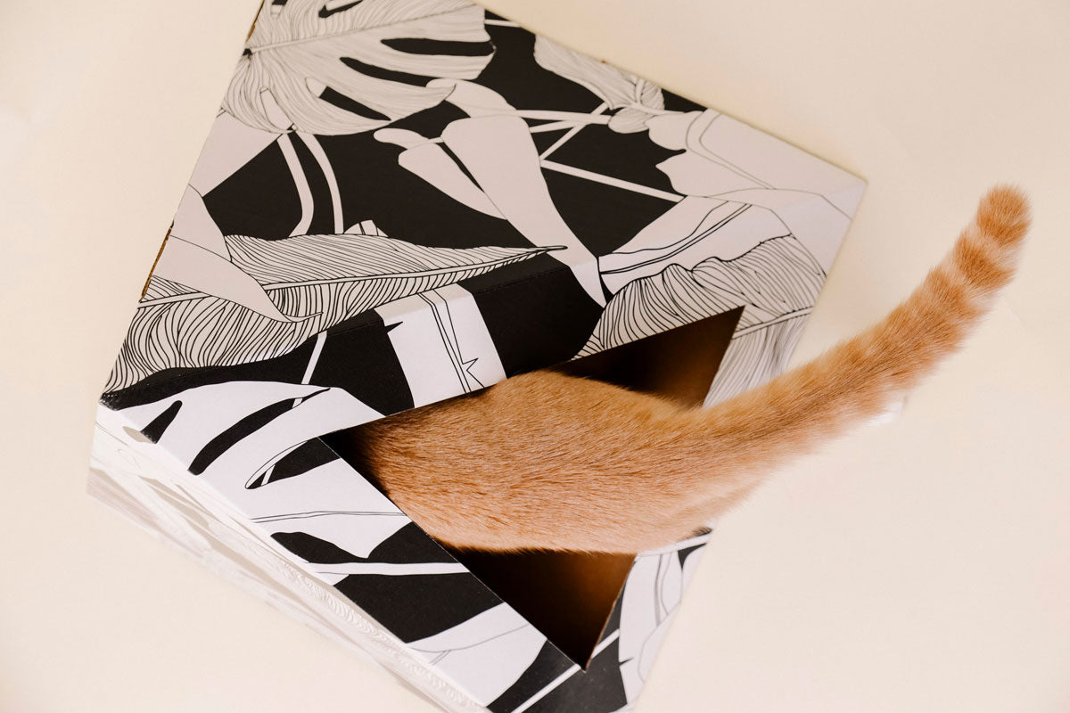 'Dark Paradise' Cardboard Cat Pyramid KittyKardboard