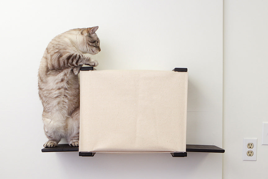 Cat Cubby for Wall - Covered Cat Bed Onyx Bamboo Blank Catastrophic Creations