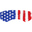 Lens Wrap - Rex Specs V2 USA Flag Rex Specs