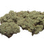Lichen Covered Moss Moss Shield Wall Exotics