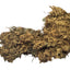 Lichen Covered Moss Moss Shield Wall Exotics