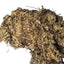 Lichen Covered Moss Moss Shield Wall Exotics