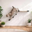The Lift- Cat Hammock Bed Cat Hammock Catastrophic Creations