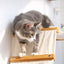 The Lift- Cat Hammock Bed Cat Hammock Catastrophic Creations