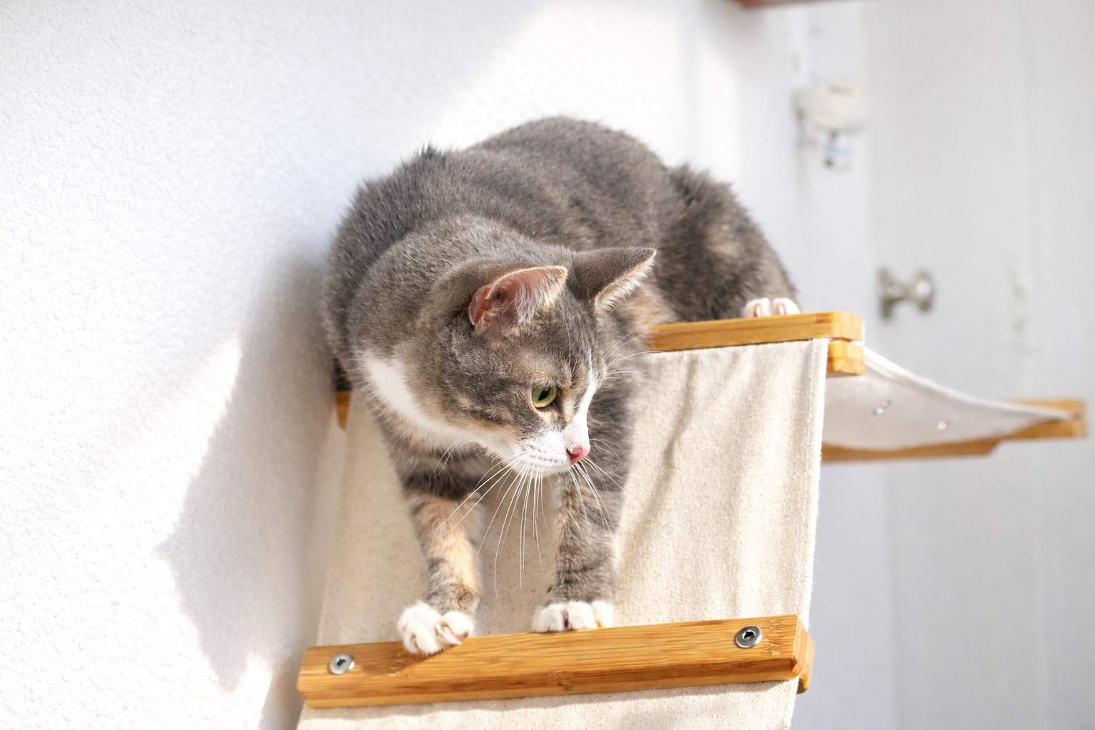 The Lift- Cat Hammock Bed Cat Hammock Catastrophic Creations