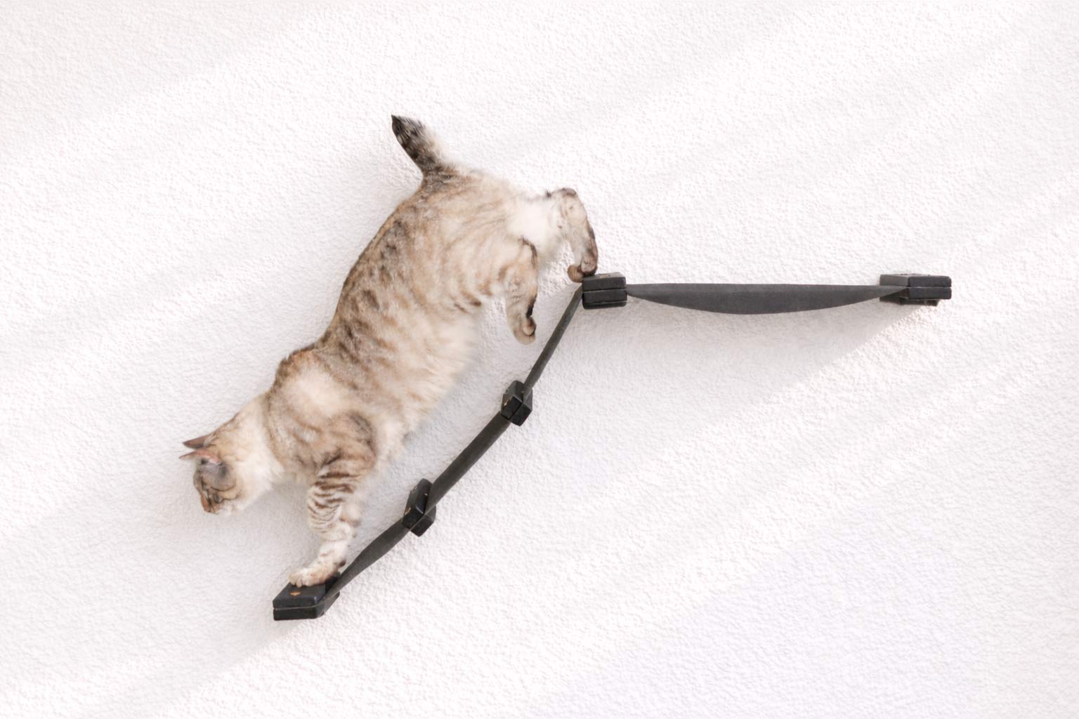 The Lift- Cat Hammock Bed Onyx Bamboo Charcoal Gray Canvas Cat Hammock Catastrophic Creations