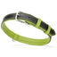 Soft Leather Dual-Color Flat Dog Collar Lime Green 19-24" 1" Dog Collars Dogline
