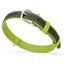 Soft Leather Dual-Color Flat Dog Collar Lime Green 15-19" 3 4" Dog Collars Dogline