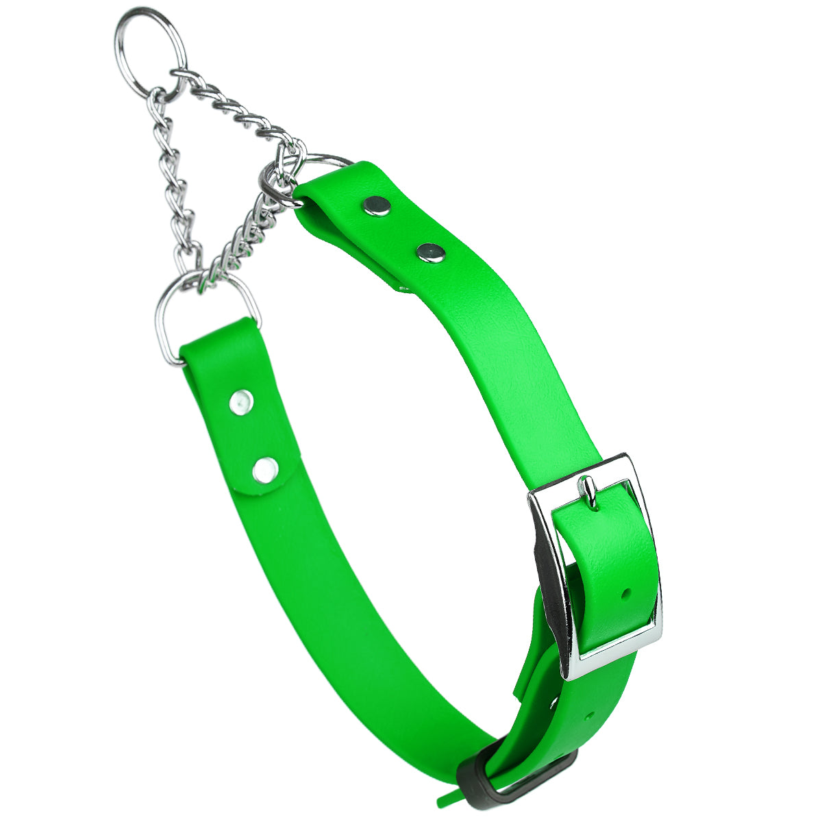 Biothane Adjustable Martingale Collar with Metal Buckle Tropical Green Dog Collars Dogline