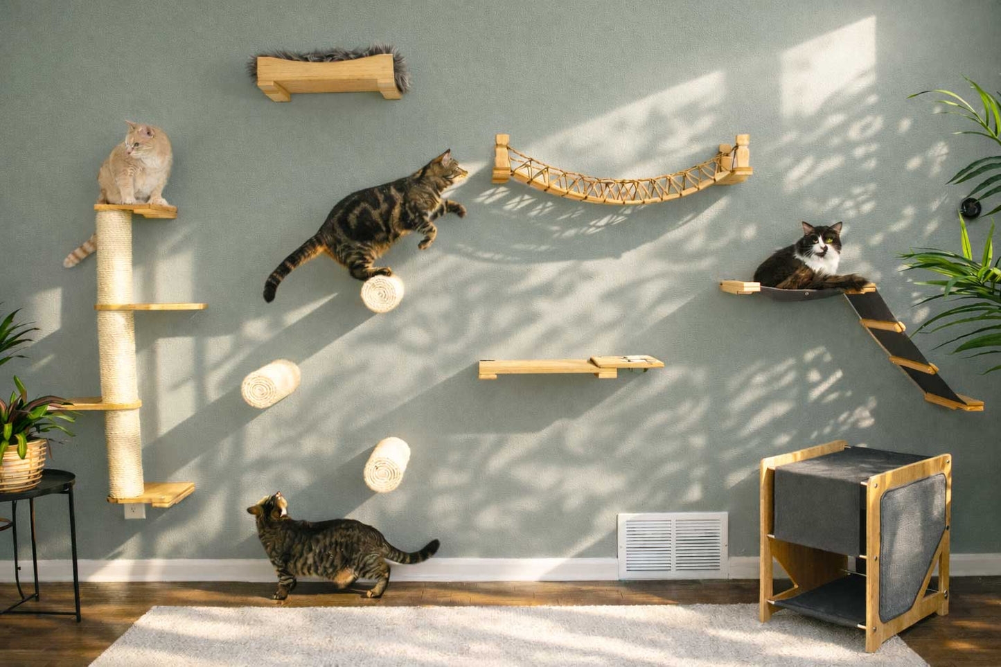 Wall Mounted Cat Shelf Cat shelves/bed Catastrophic Creations