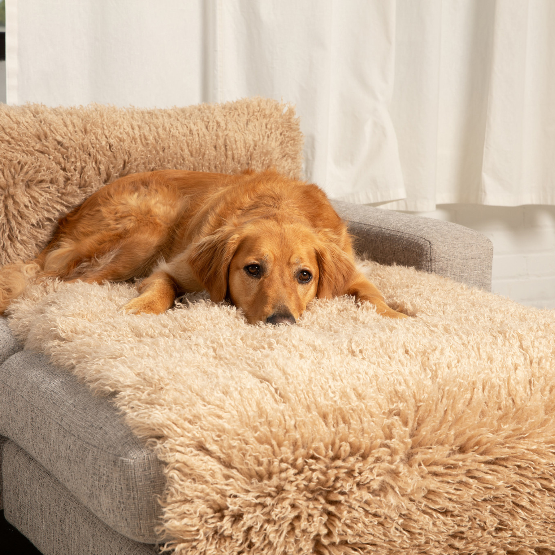 PupProtector™ Luxe Waterproof Bed Runner - Plush Sheep Tan Dog Blanket Paw