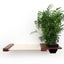 Cat Hammock Wall with Planter English Chestnut Bamboo Natural Canvas 16" Cat Hammock Catastrophic Creations
