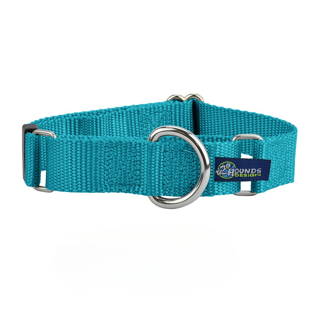 5/8″ and 1″ Teal Nylon Martingale Dog Collar 2 Hounds Design