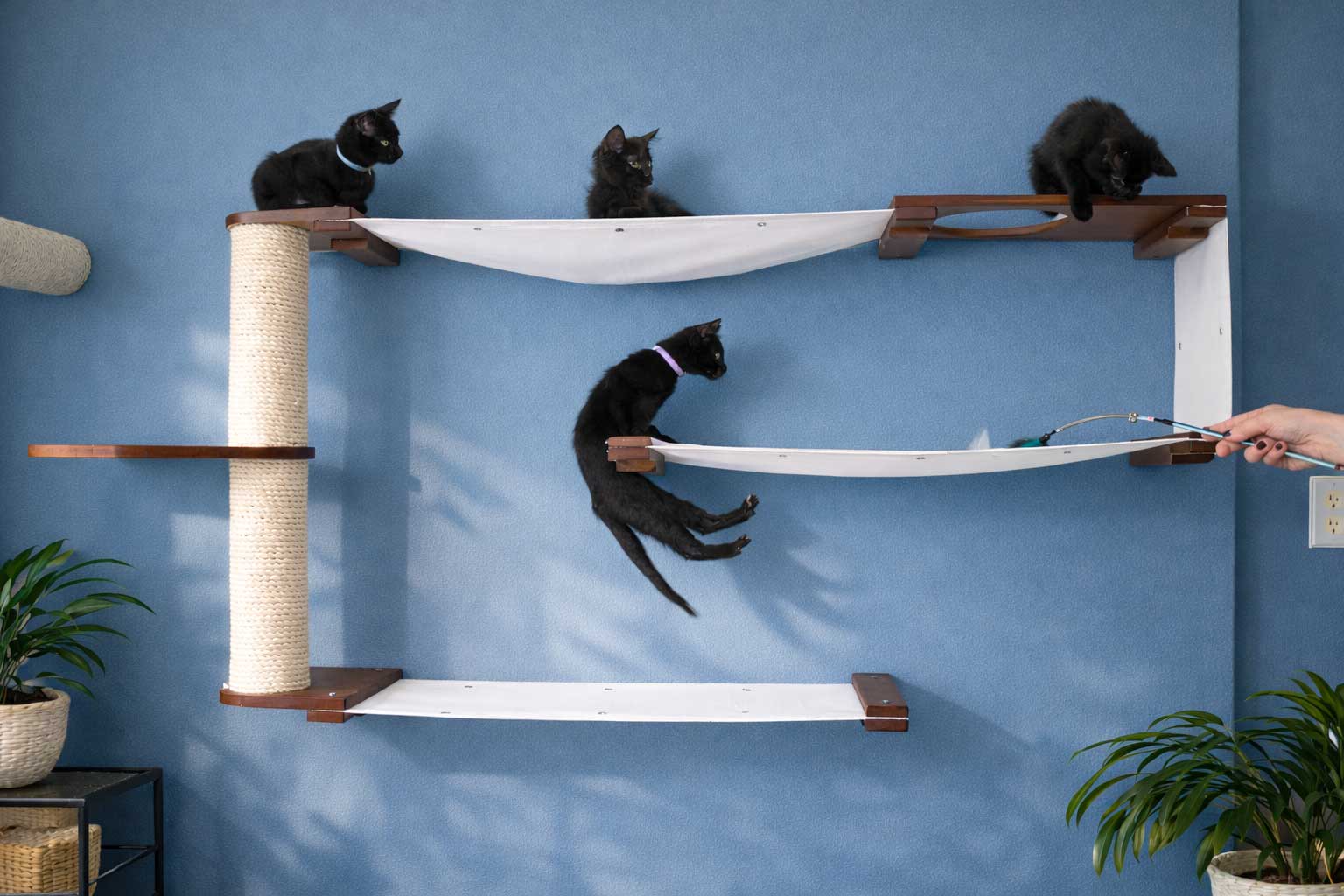 Cat Maze Wall - 3 Tier Cat Tree Cat Condo Catastrophic Creations