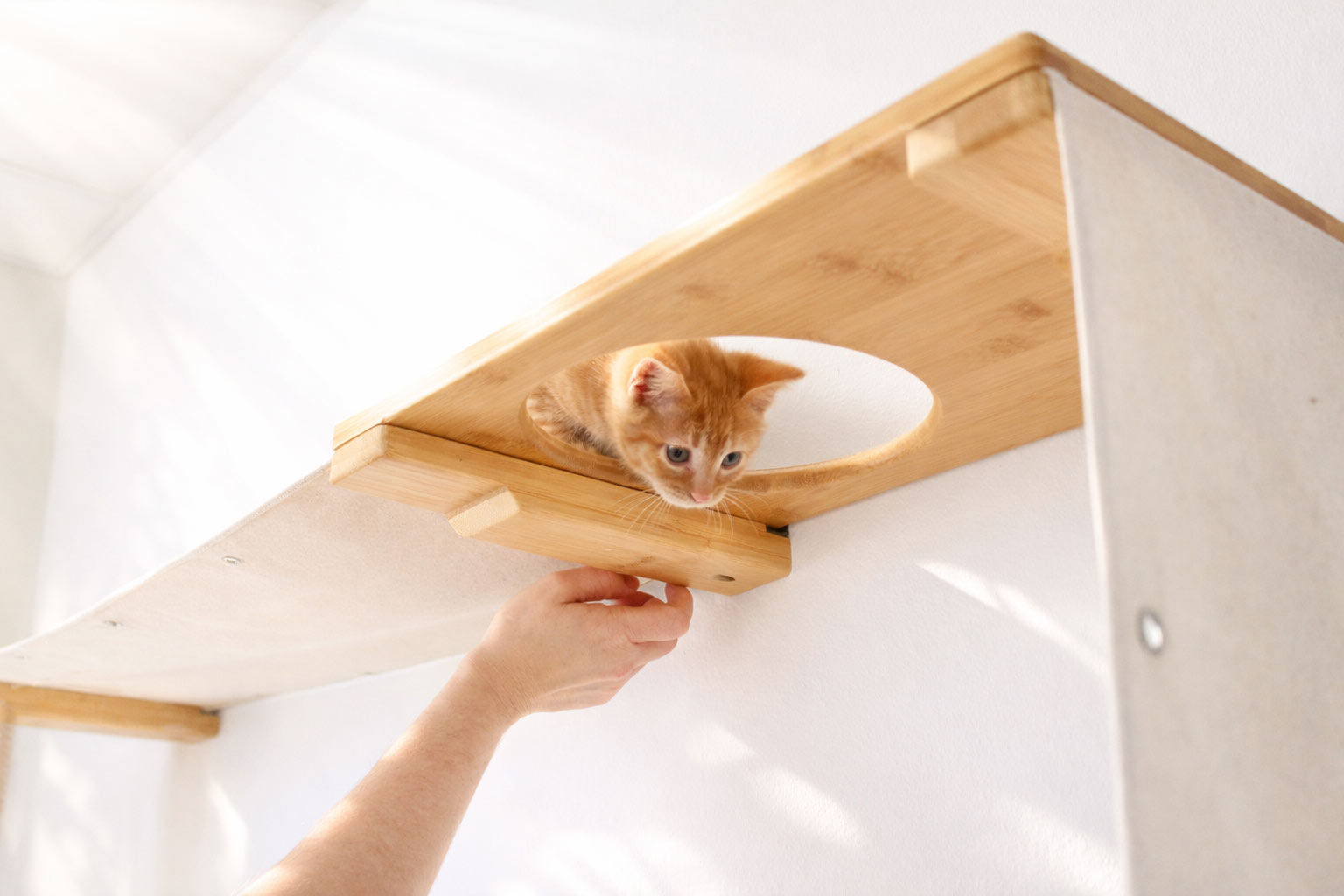 Cat Maze Wall - 3 Tier Cat Tree Cat Condo Catastrophic Creations