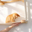 Cat Maze Wall - 3 Tier Cat Tree Cat Condo Catastrophic Creations
