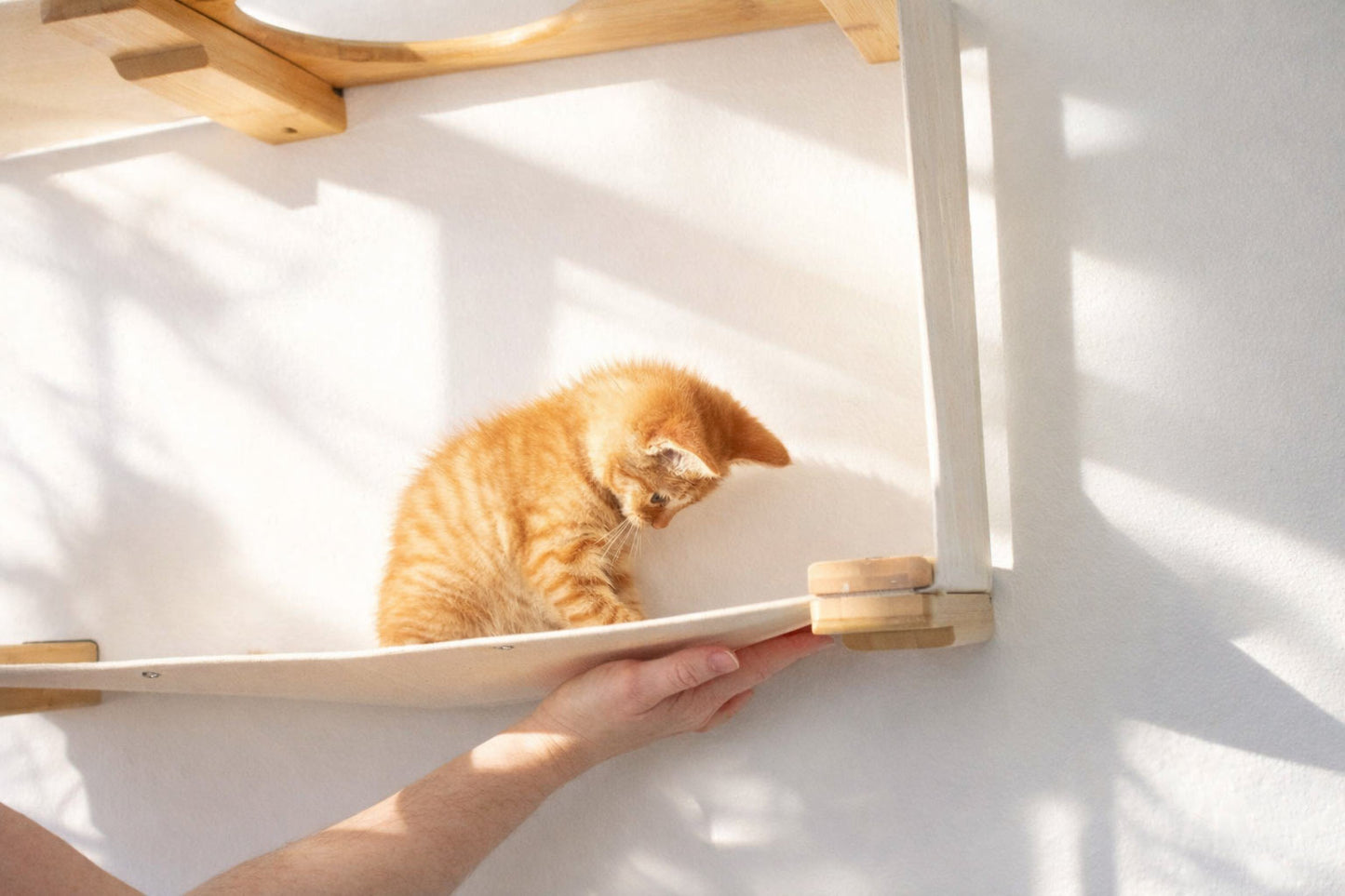 Cat Maze Wall - 3 Tier Cat Tree Cat Condo Catastrophic Creations