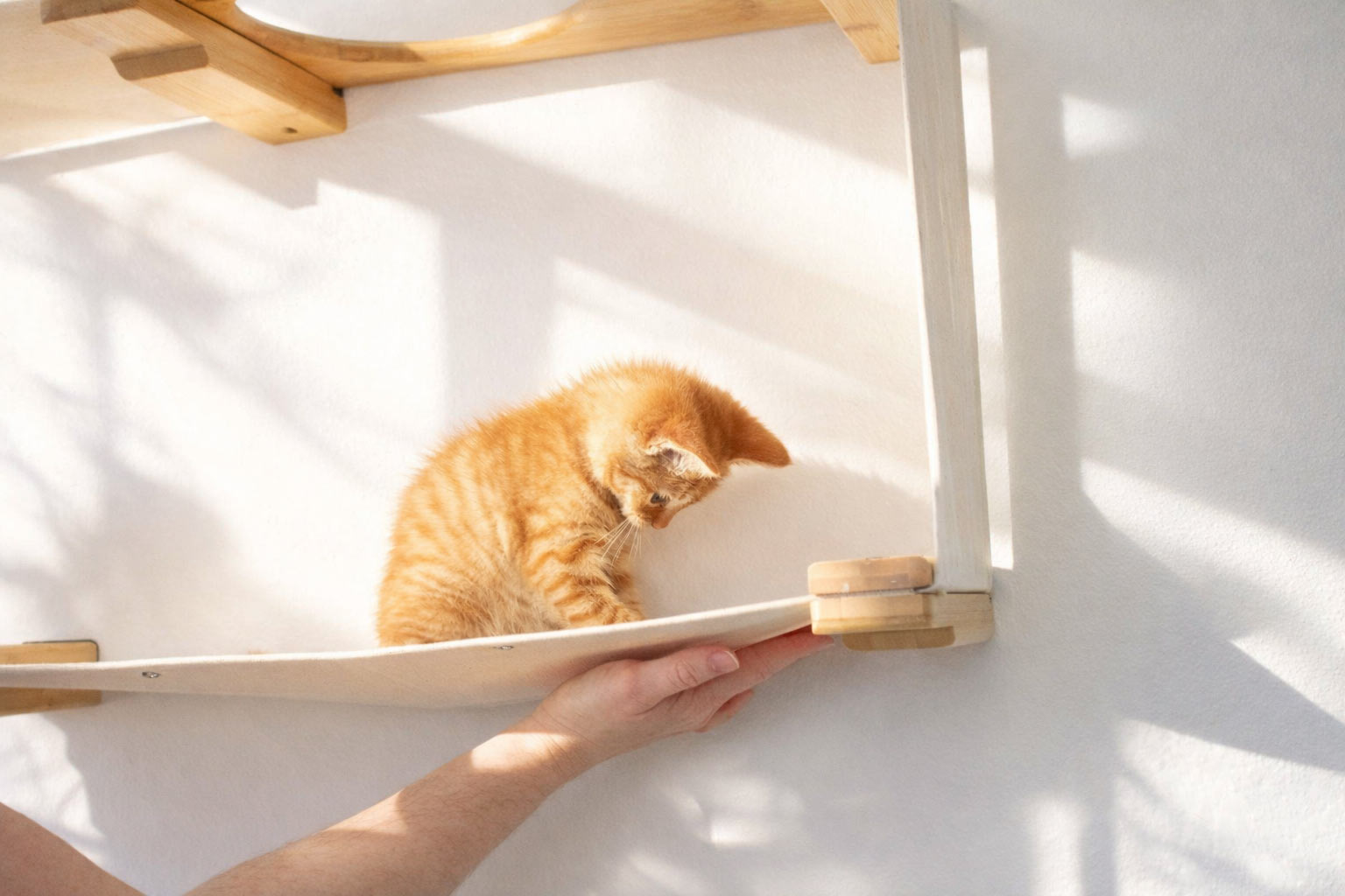 Cat Maze Wall - 3 Tier Cat Tree Cat Condo Catastrophic Creations