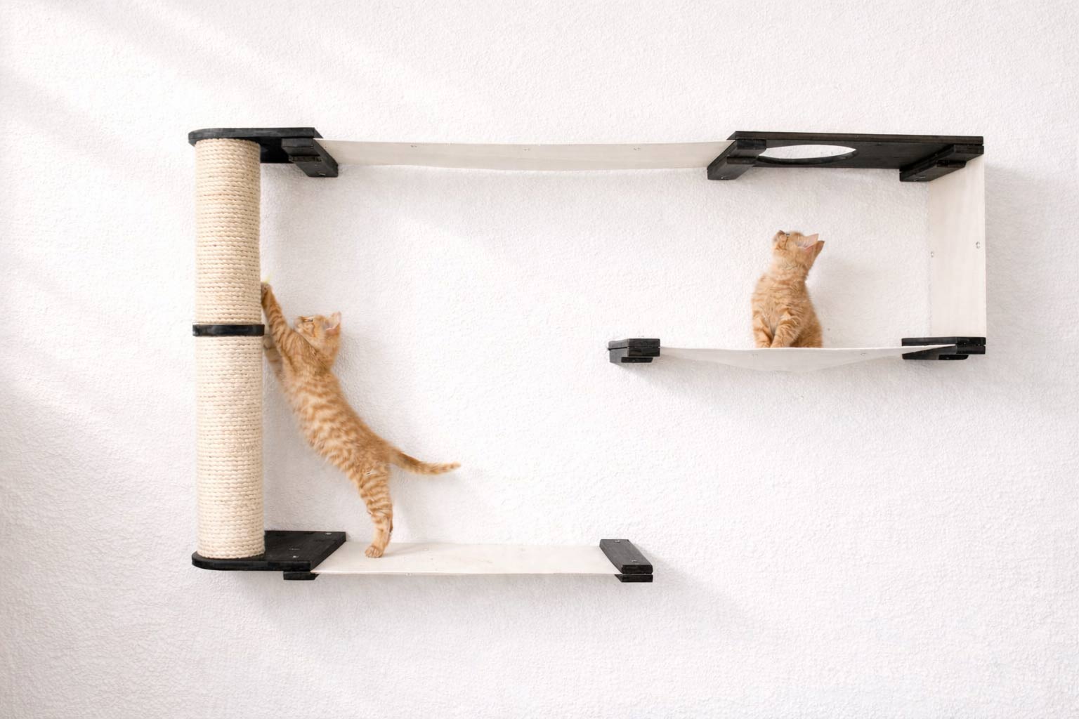 Cat Maze Wall - 3 Tier Cat Tree Onyx Bamboo Natural Canvas Pole Cat Condo Catastrophic Creations