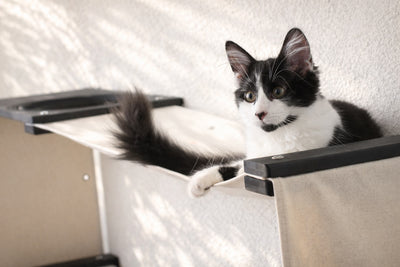 Cat Maze Wall - 3 Tier Cat Tree Cat Condo Catastrophic Creations
