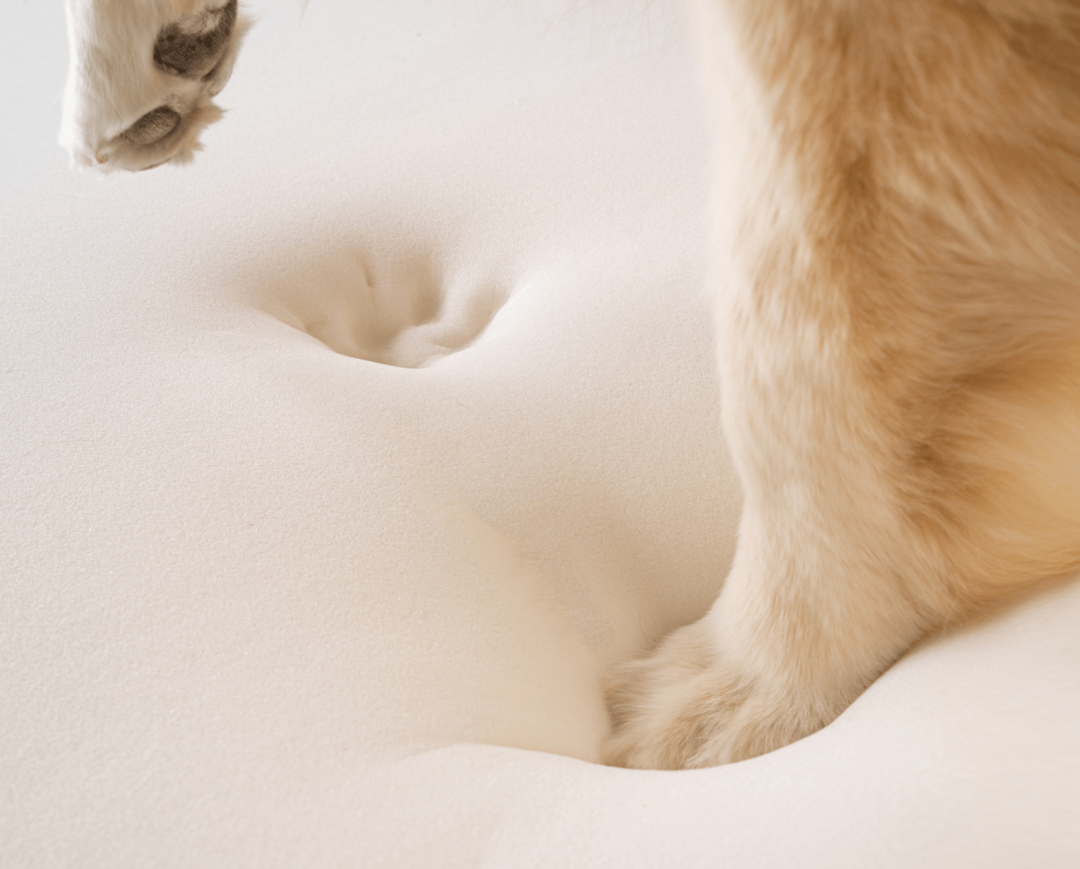PupRug by Paw.com® Faux Fur Orthopedic Dog Bed - Curve Brown Dog Beds Paw