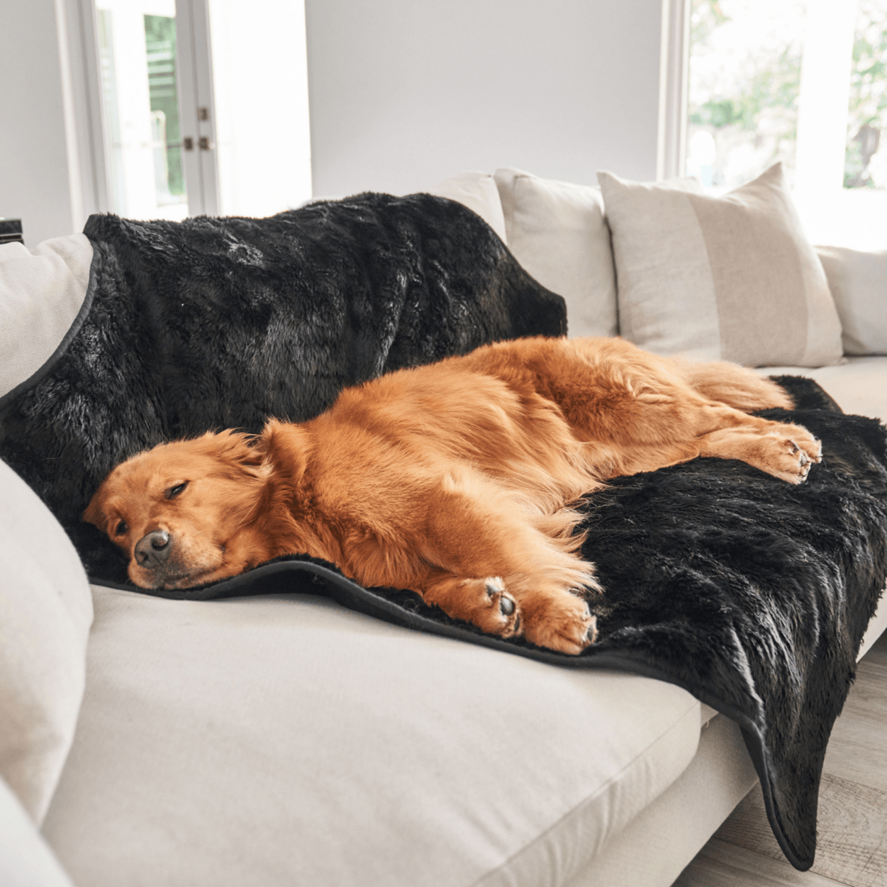 PupProtector™ Summer Short Fur Waterproof Throw Blanket - Midnight Black Dog Blanket Paw.com