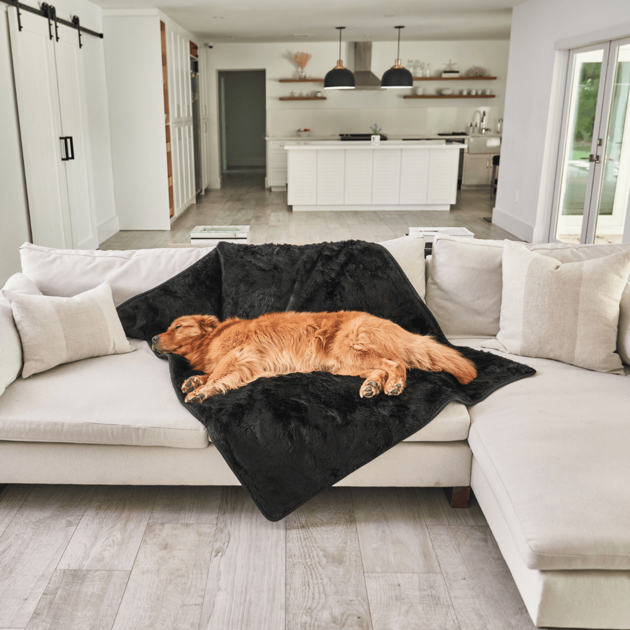PupProtector™ Summer Short Fur Waterproof Throw Blanket - Midnight Black Dog Blanket Paw.com