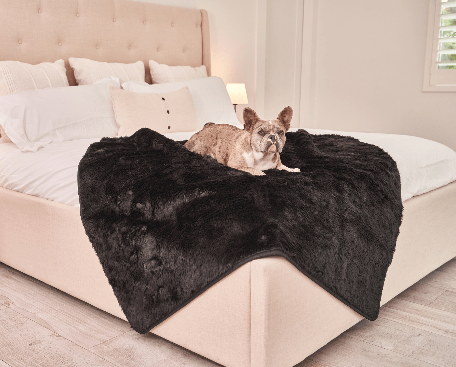 PupProtector™ Summer Short Fur Waterproof Throw Blanket - Midnight Black Dog Blanket Paw.com