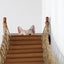 The Expedition - Cat Jungle Gym Wall System Cat Condo Catastrophic Creations