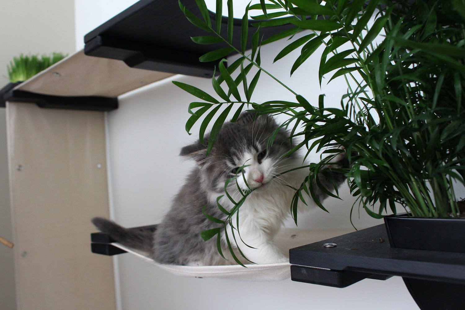 The Gardens - Modern Cat Tree with Plants Cat Condo Catastrophic Creations