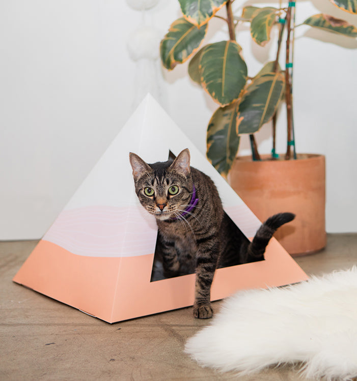 'Wavey' Cardboard Cat Pyramid KittyKardboard