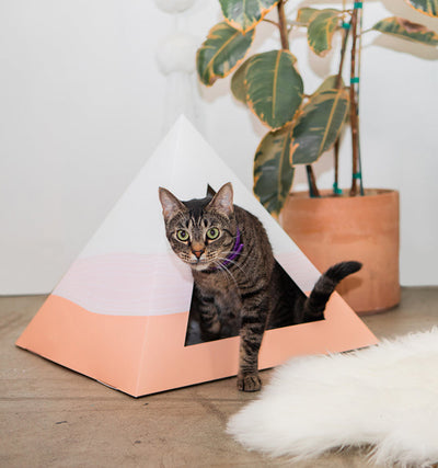 'Wavey' Cardboard Cat Pyramid KittyKardboard