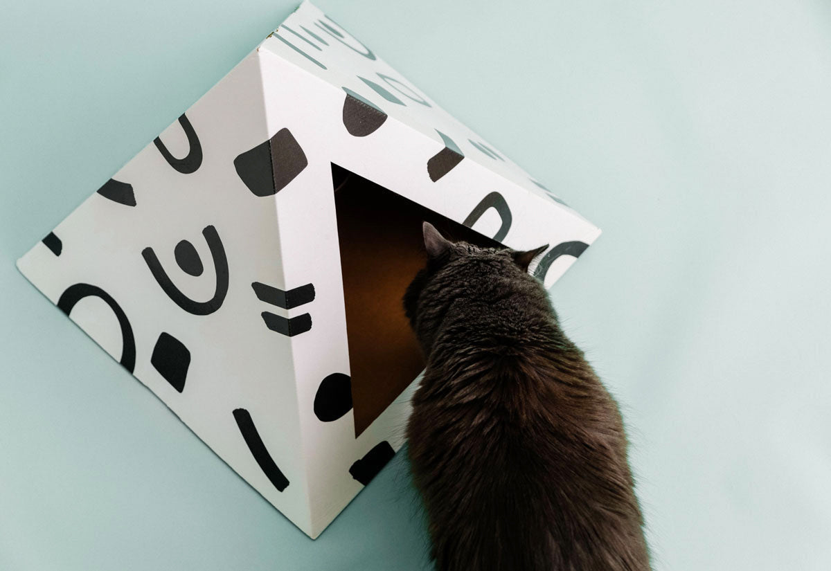 'Doodle' Cardboard Cat Pyramid KittyKardboard